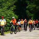 Grupa rowerzystów jadących na rowerach w pomarańczowych koszulkach, w tle las